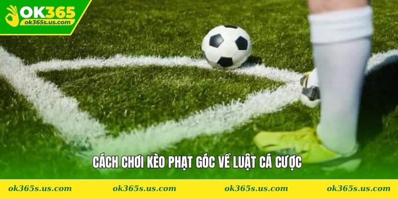 Cách chơi kèo phạt góc về luật cá cược